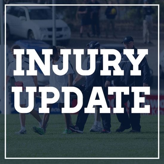 Injury Update - Round 8